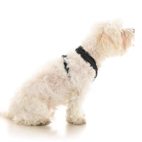 Comfort X Dual Snap Mesh