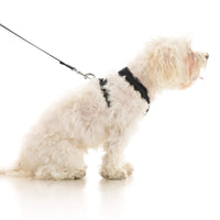 Comfort X Dual Snap Mesh