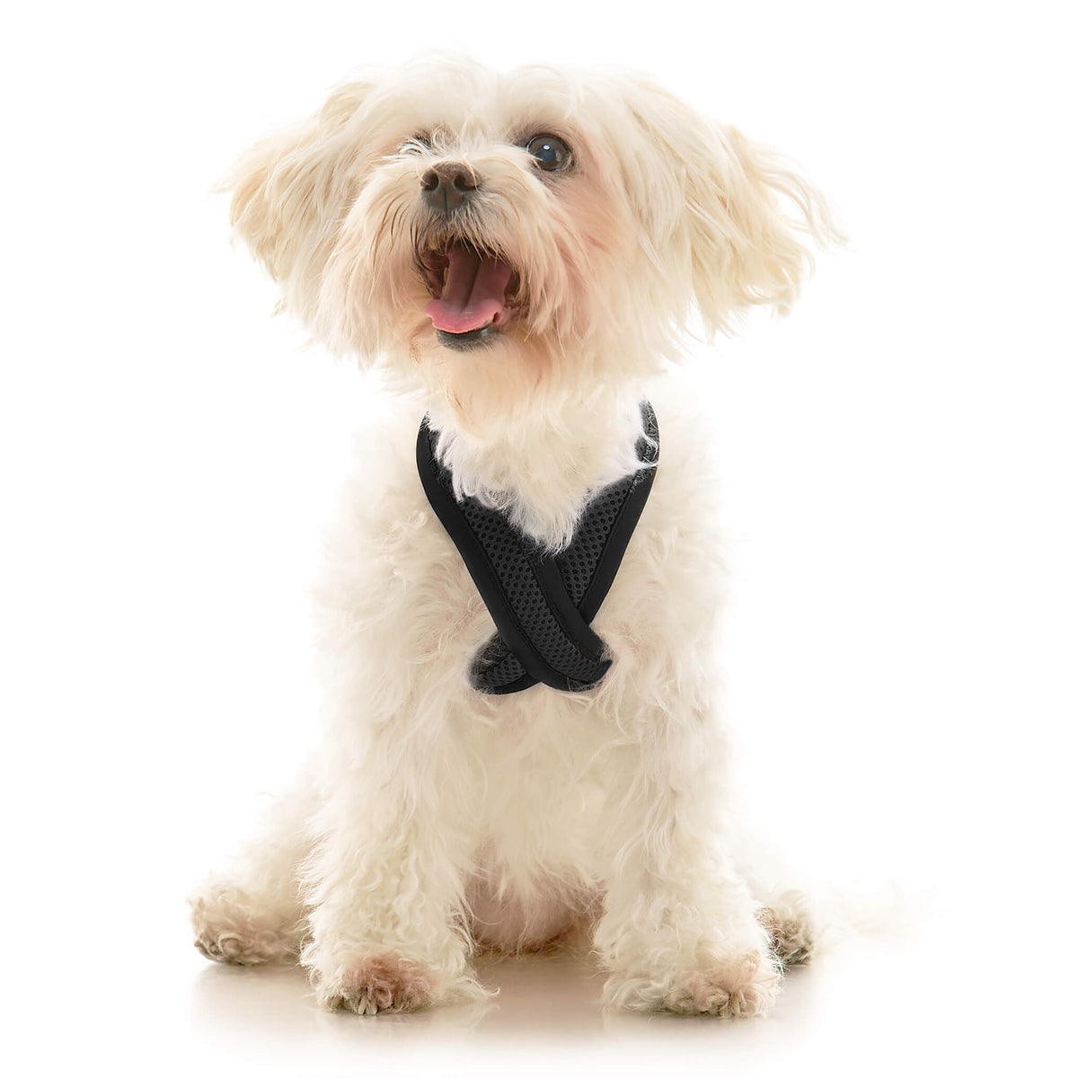 Comfort X Dual Snap Mesh