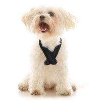 Comfort X Dual Snap Mesh