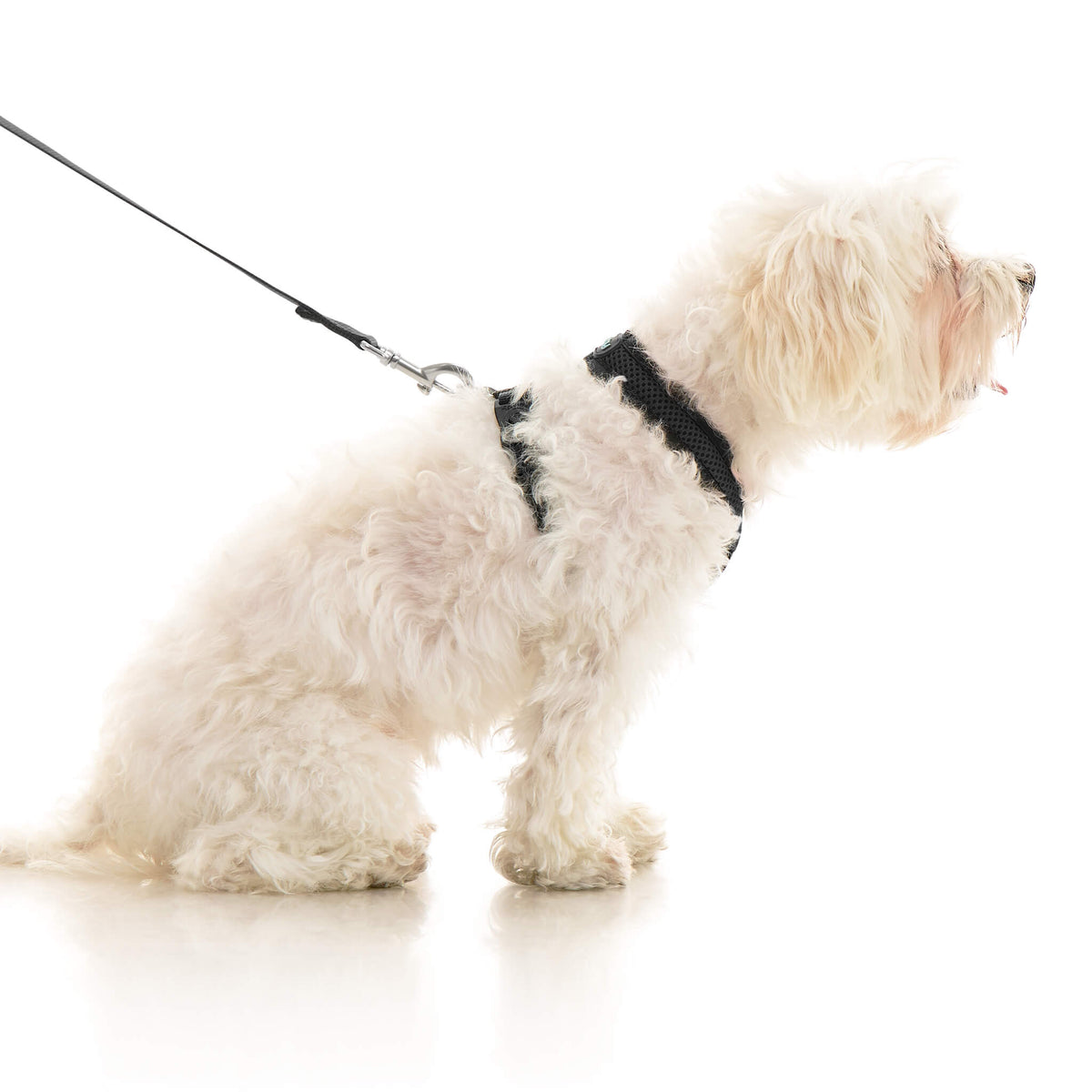 Comfort X Dual Snap Mesh