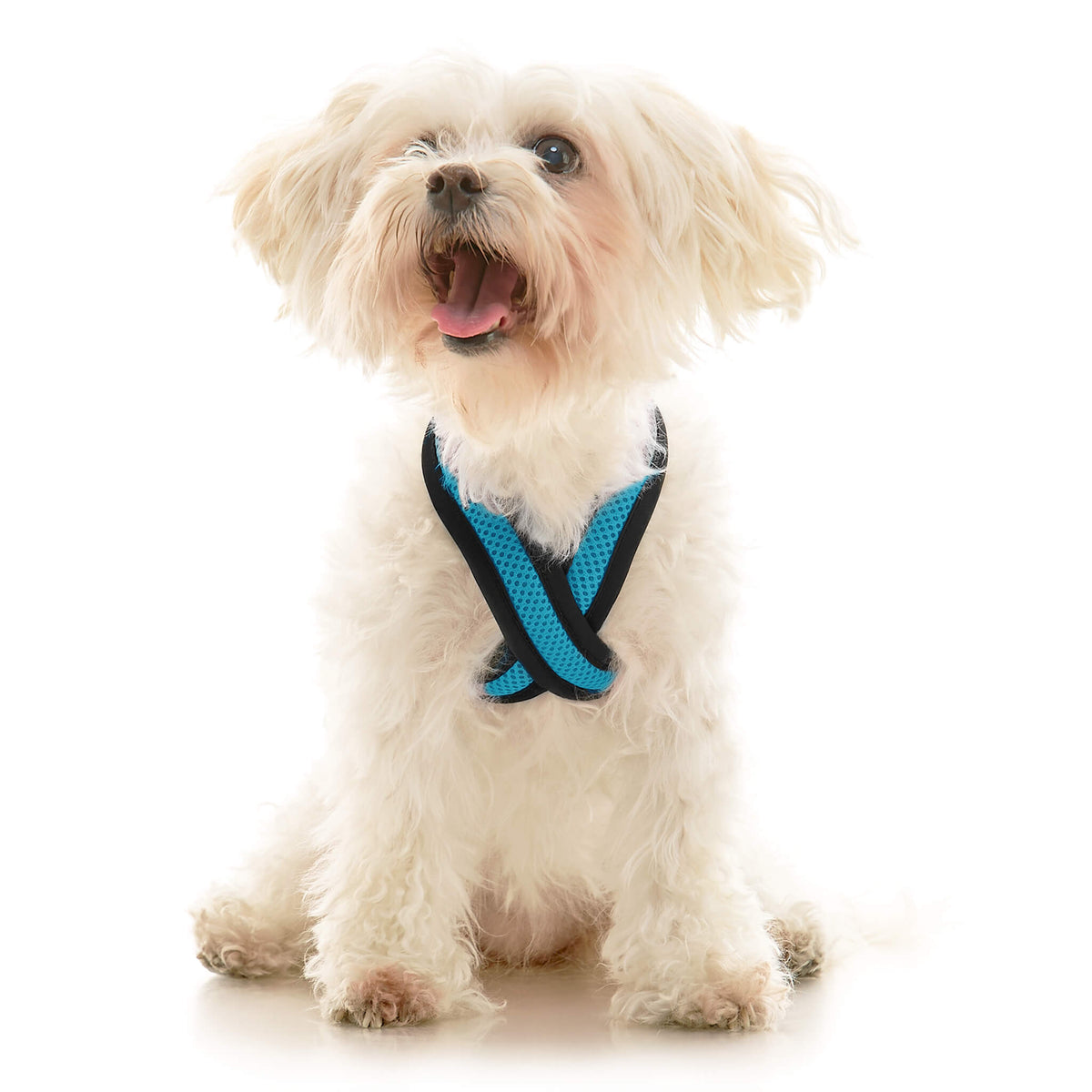 Comfort X Dual Snap Mesh