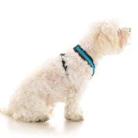 Comfort X Dual Snap Mesh