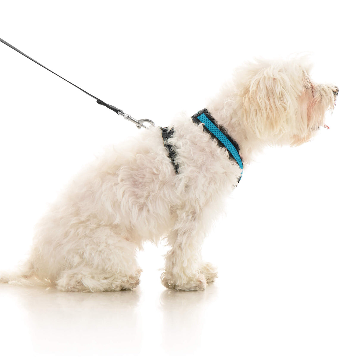 Comfort X Dual Snap Mesh