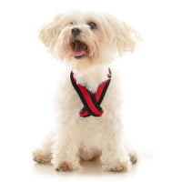 Comfort X Dual Snap Mesh