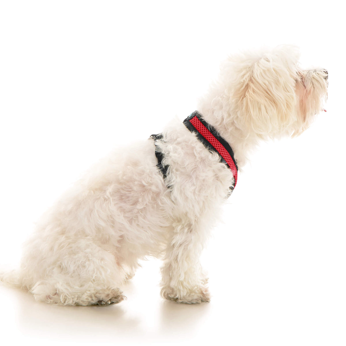 Comfort X Dual Snap Mesh