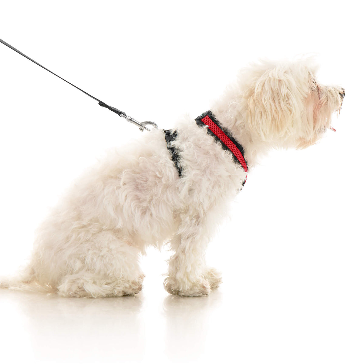 Comfort X Dual Snap Mesh