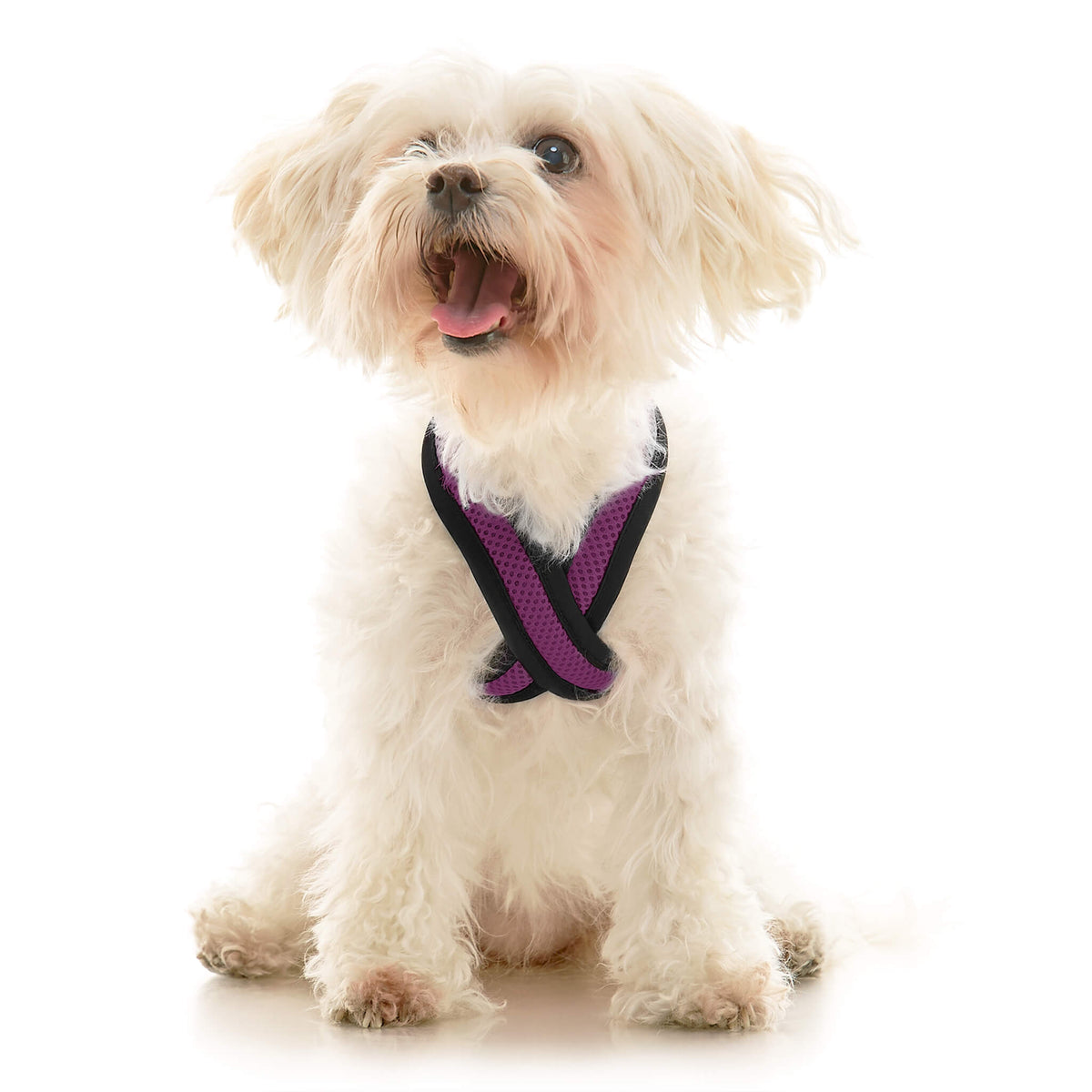 Comfort X Dual Snap Mesh