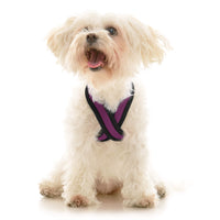 Comfort X Dual Snap Mesh