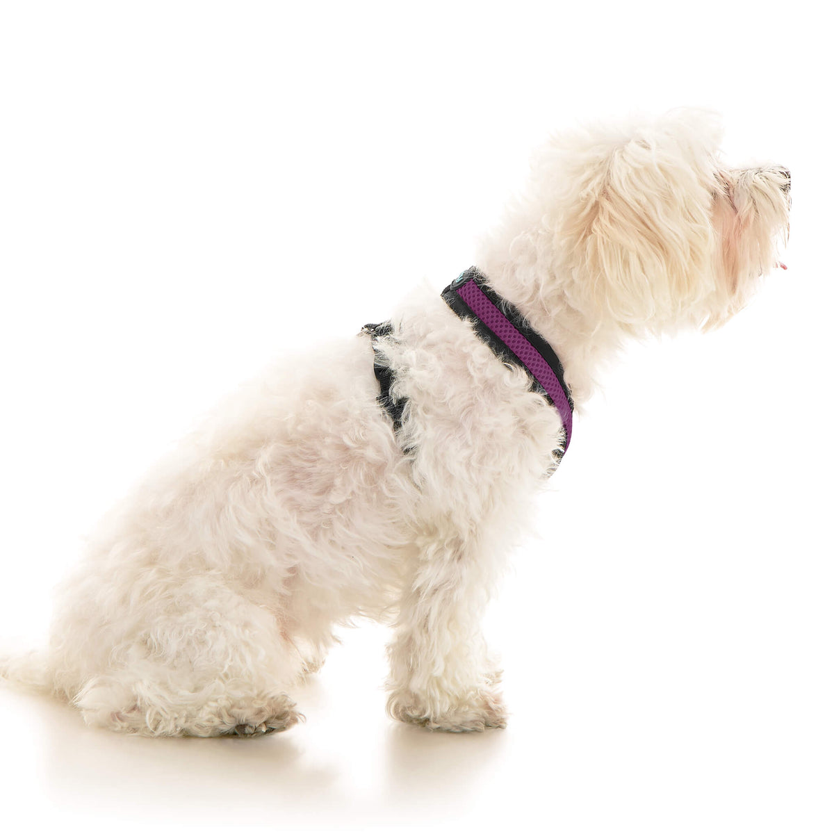 Comfort X Dual Snap Mesh