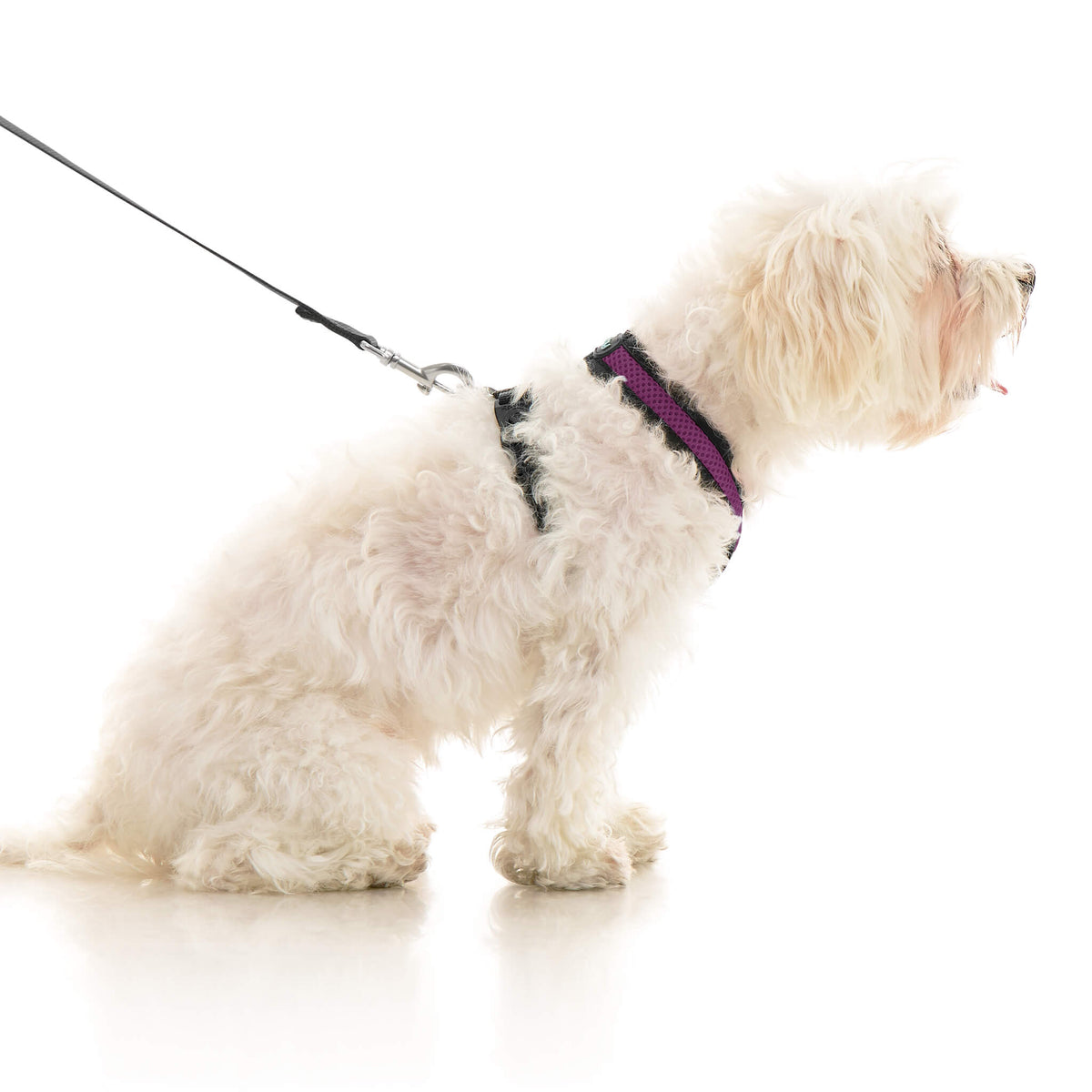 Comfort X Dual Snap Mesh