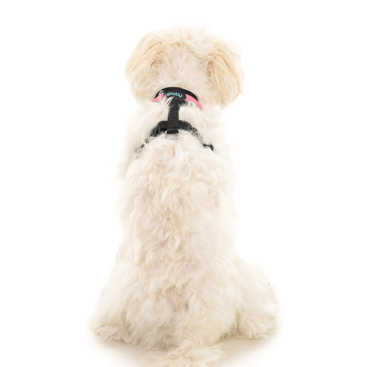 Comfort X Dual Snap Mesh