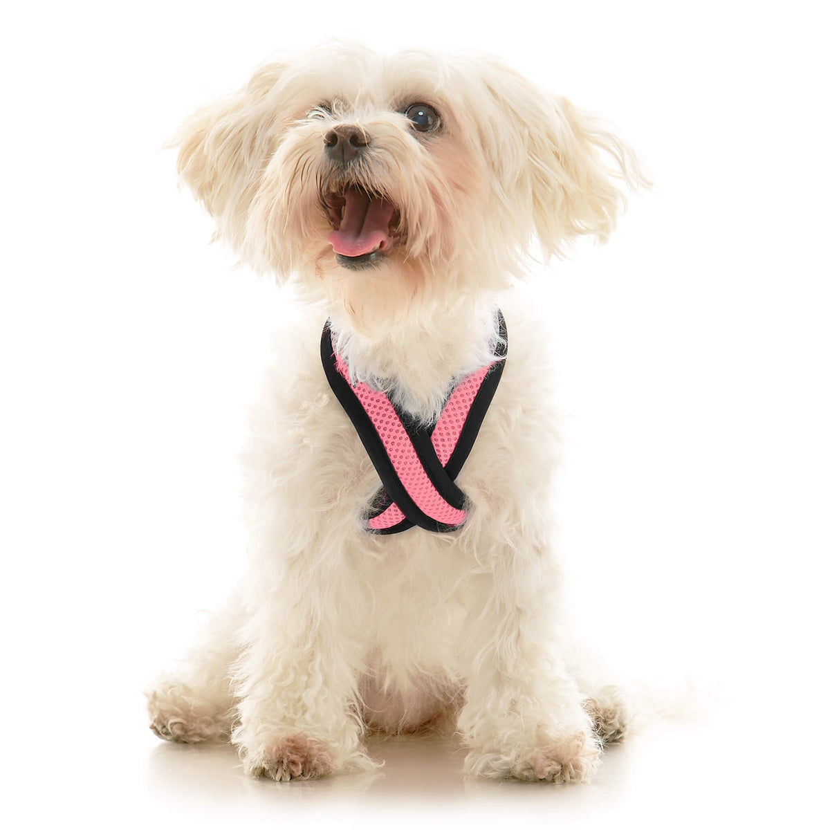 Comfort X Dual Snap Mesh