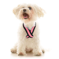 Comfort X Dual Snap Mesh