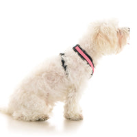 Comfort X Dual Snap Mesh