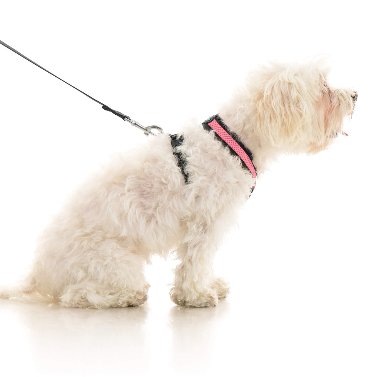 Comfort X Dual Snap Mesh