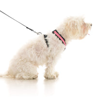 Comfort X Dual Snap Mesh