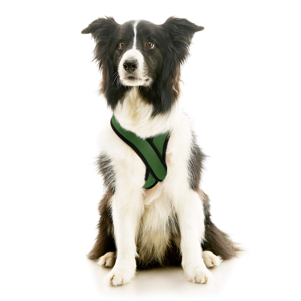 Comfort X Dual Snap Mesh