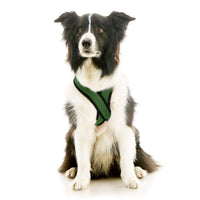 Comfort X Dual Snap Mesh