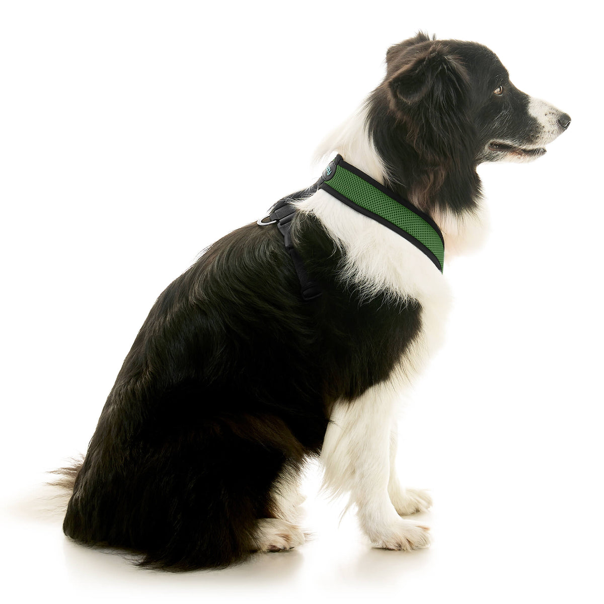 Comfort X Dual Snap Mesh