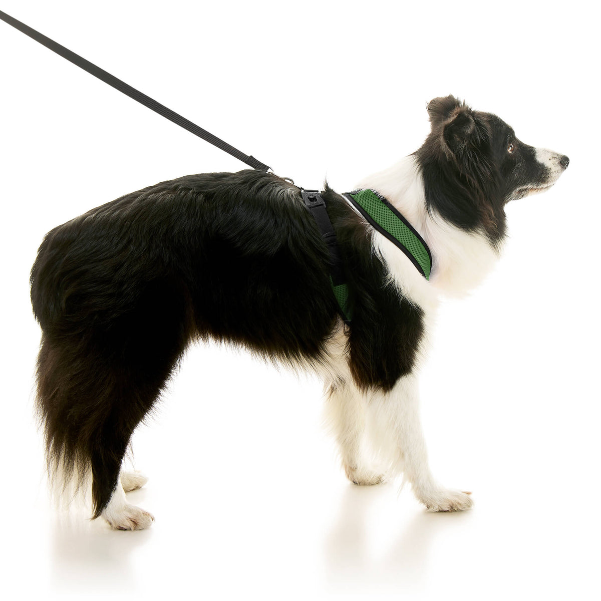 Comfort X Dual Snap Mesh