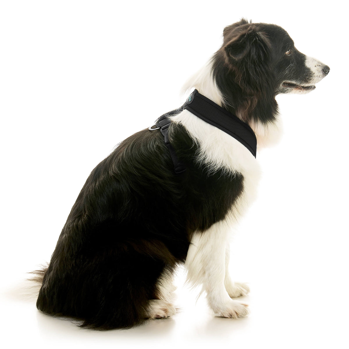 Comfort X Dual Snap Mesh