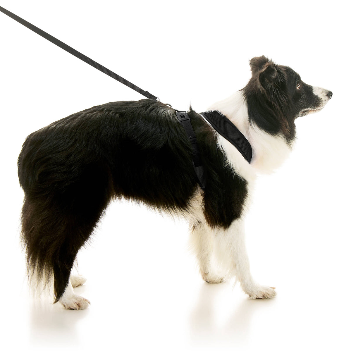 Comfort X Dual Snap Mesh