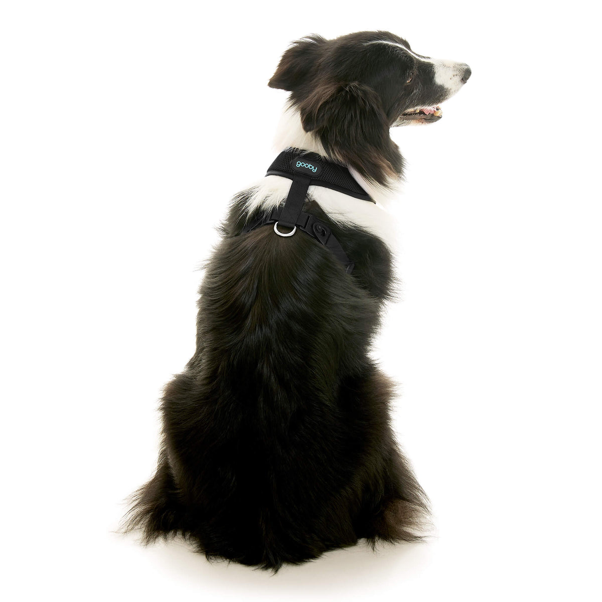 Comfort X Dual Snap Mesh