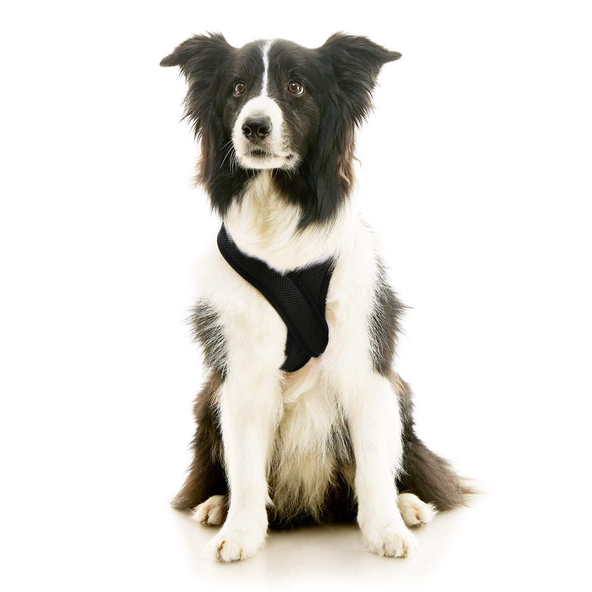 Comfort X Dual Snap Mesh