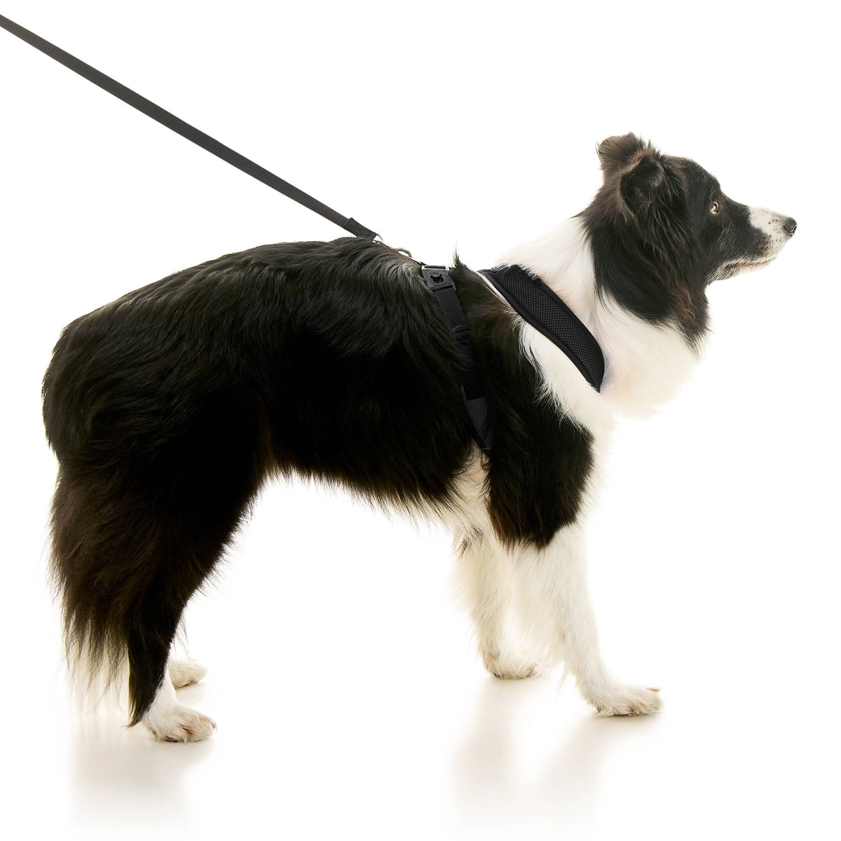 Comfort X Dual Snap Mesh