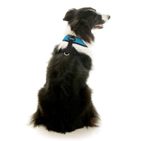 Comfort X Dual Snap Mesh