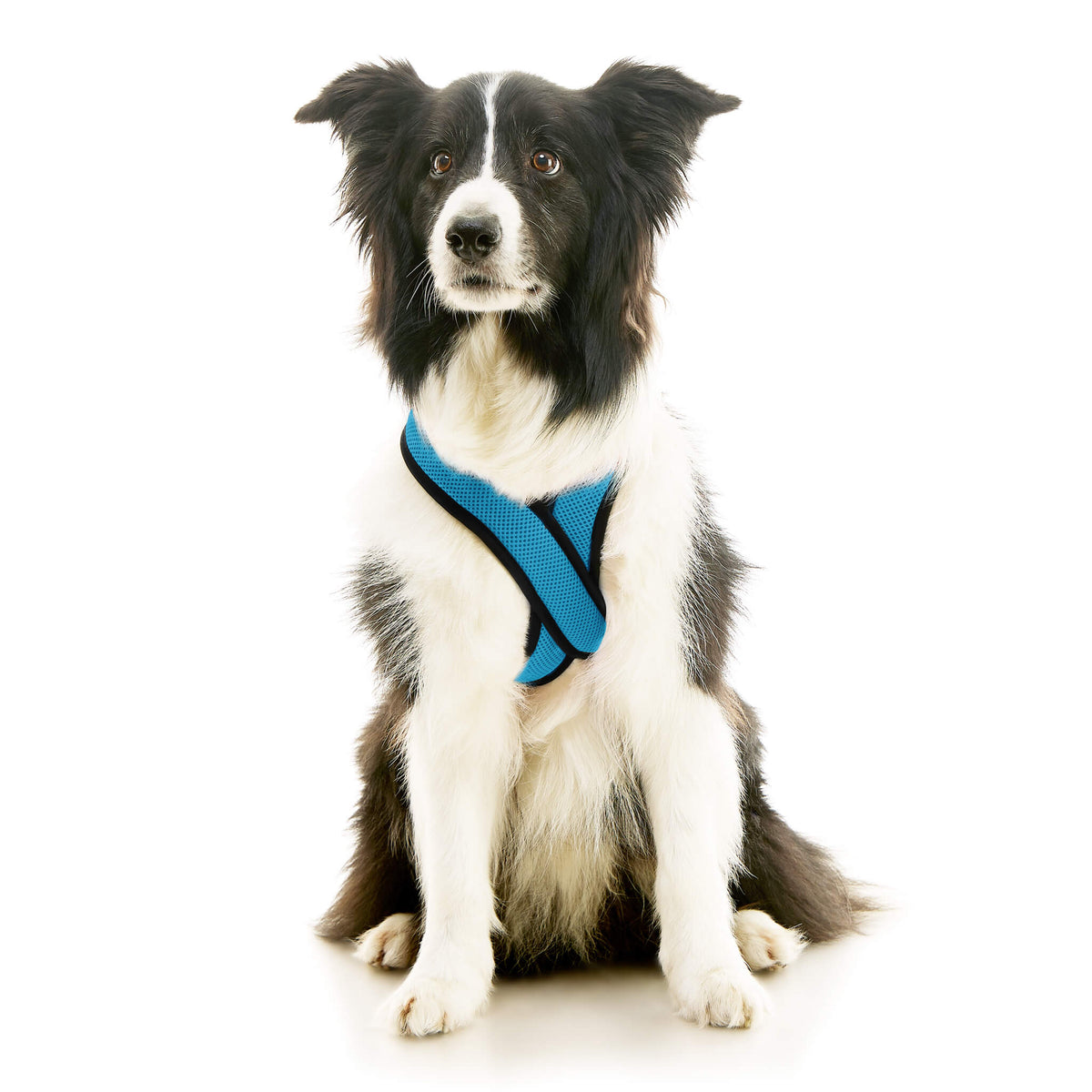 Comfort X Dual Snap Mesh