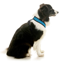 Comfort X Dual Snap Mesh