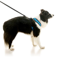 Comfort X Dual Snap Mesh