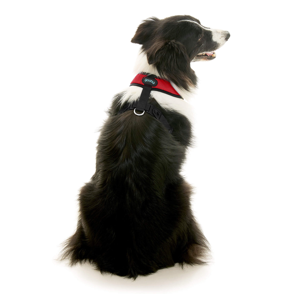 Comfort X Dual Snap Mesh