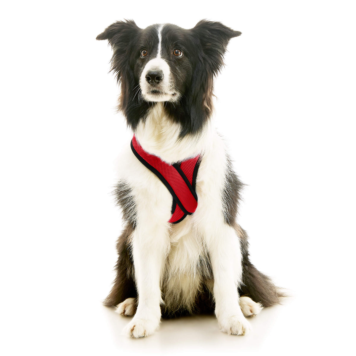 Comfort X Dual Snap Mesh