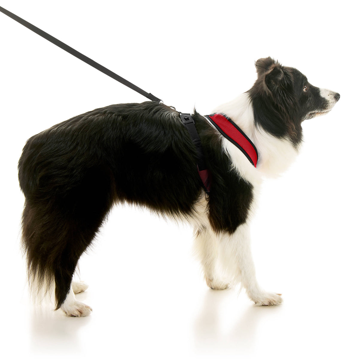 Comfort X Dual Snap Mesh