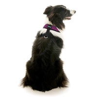 Comfort X Dual Snap Mesh