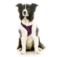 Comfort X Dual Snap Mesh