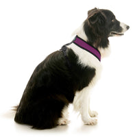 Comfort X Dual Snap Mesh