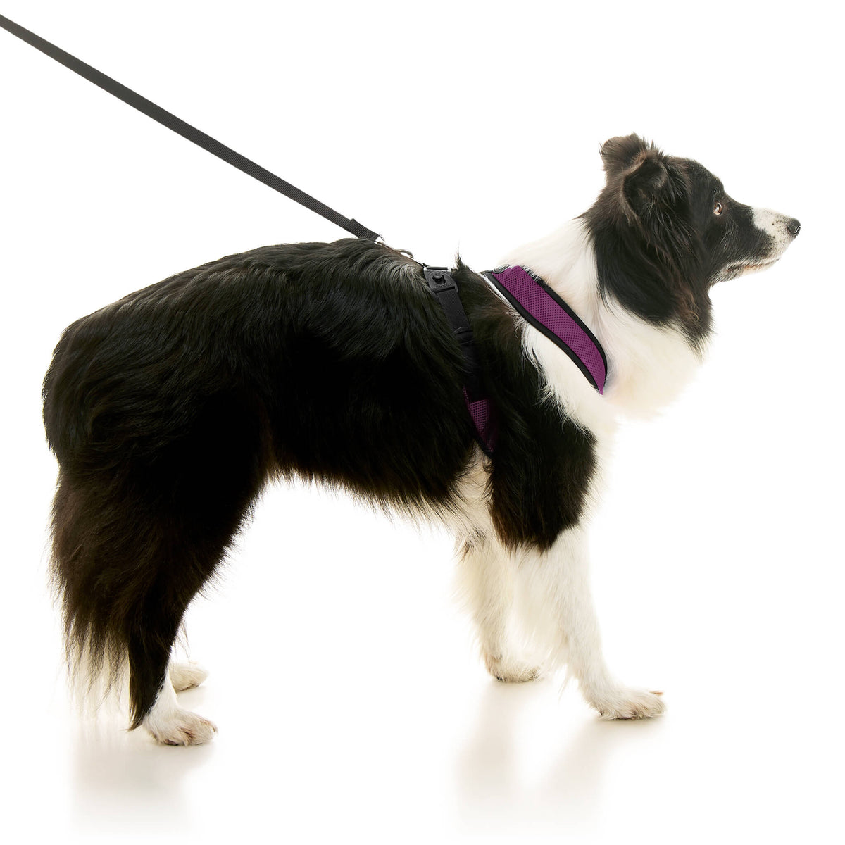 Comfort X Dual Snap Mesh