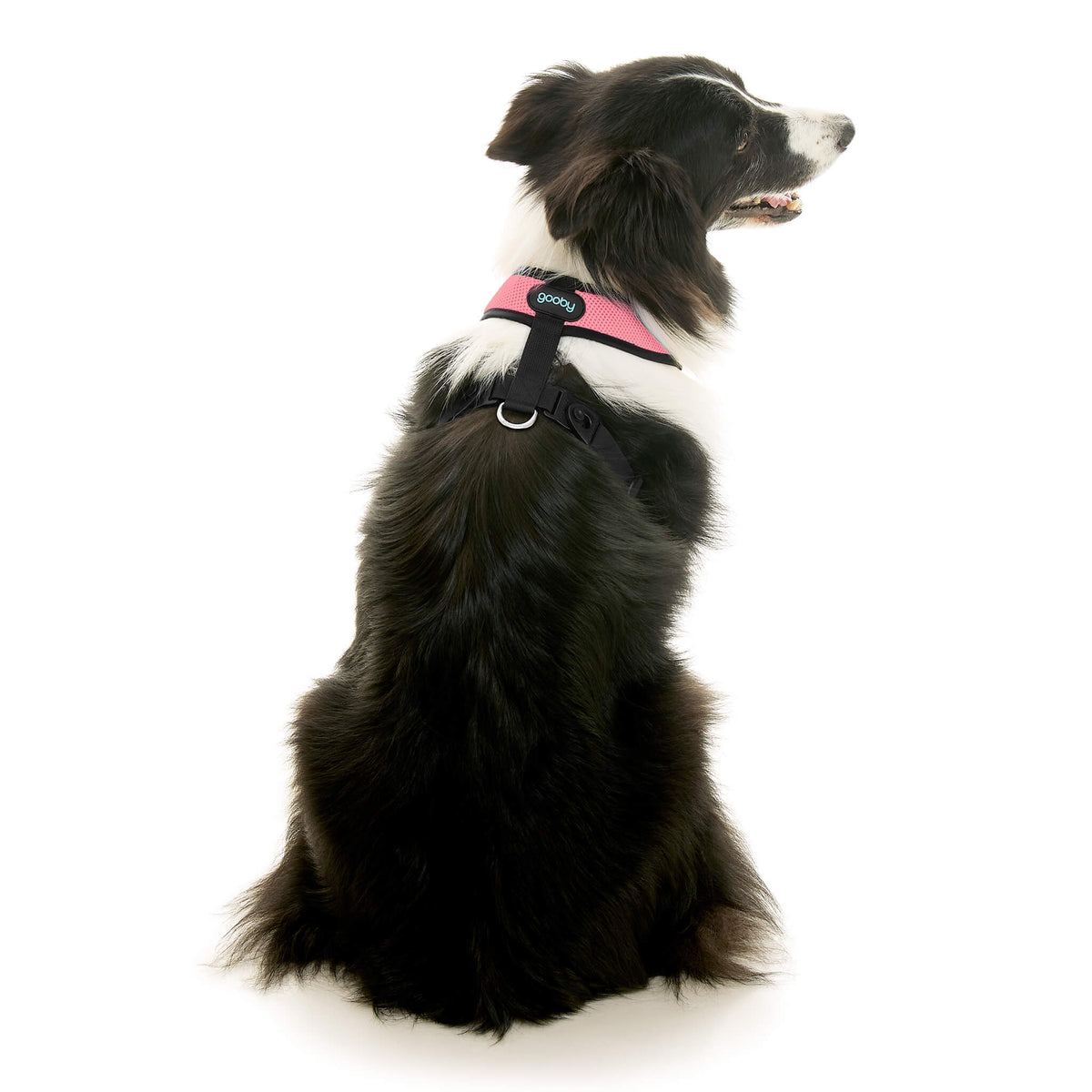 Comfort X Dual Snap Mesh