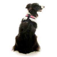 Comfort X Dual Snap Mesh