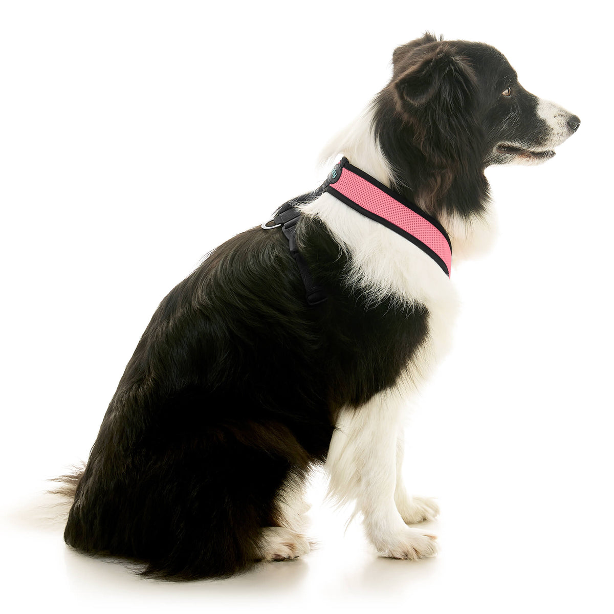 Comfort X Dual Snap Mesh