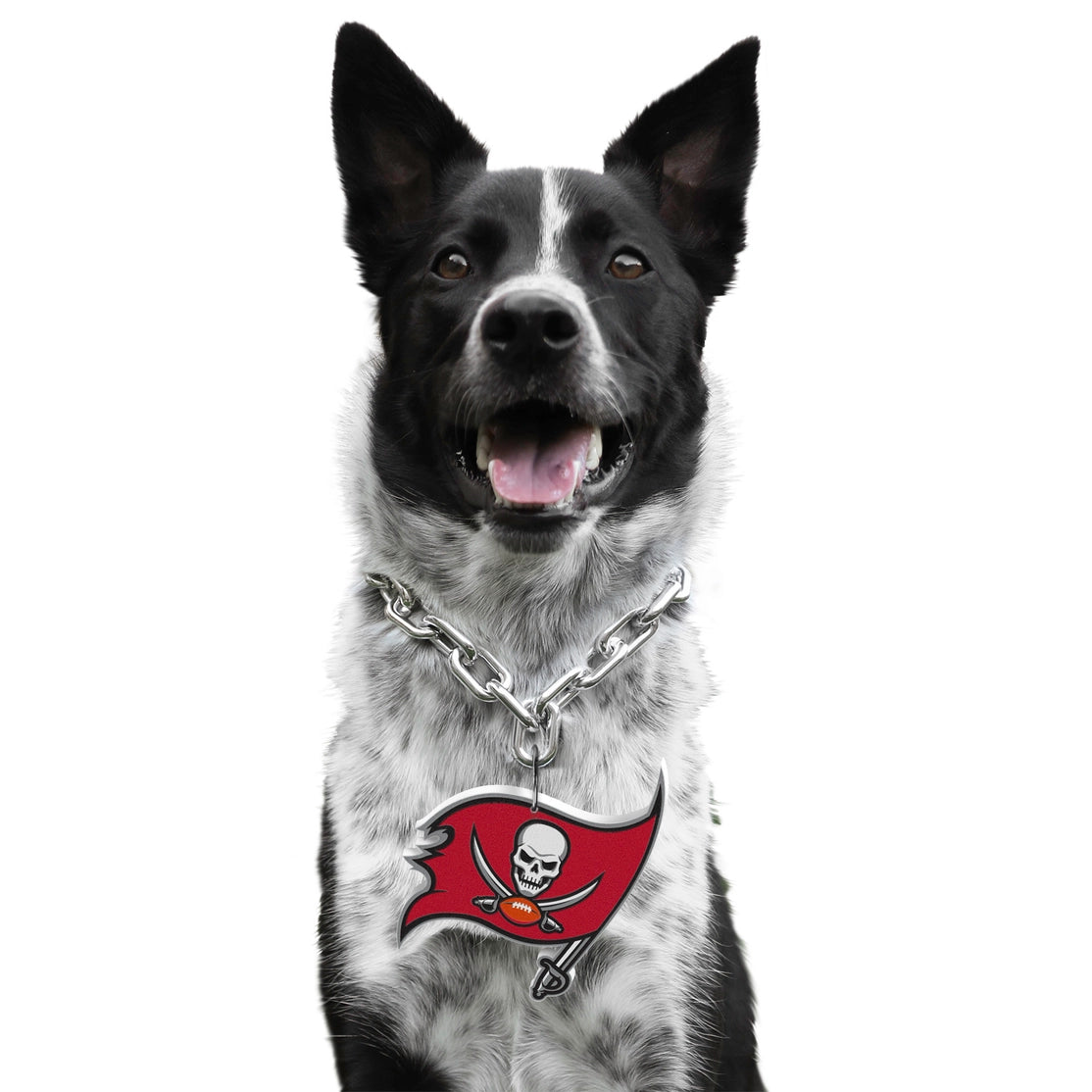 Tampa Bay Buccaneers Pet Fan Chain