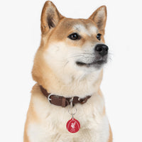 Liverpool FC 25/26 Home Kit-Inspired Collar Charm