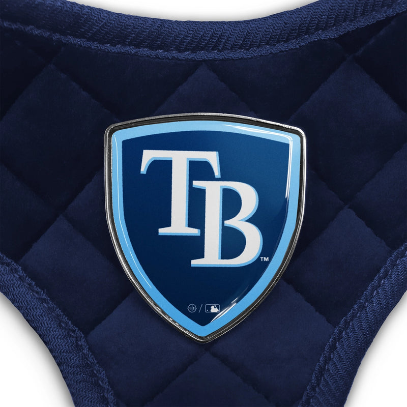 Tampa Bay Rays Velvet Harness