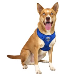 KS Jayhawks Velvet Harness