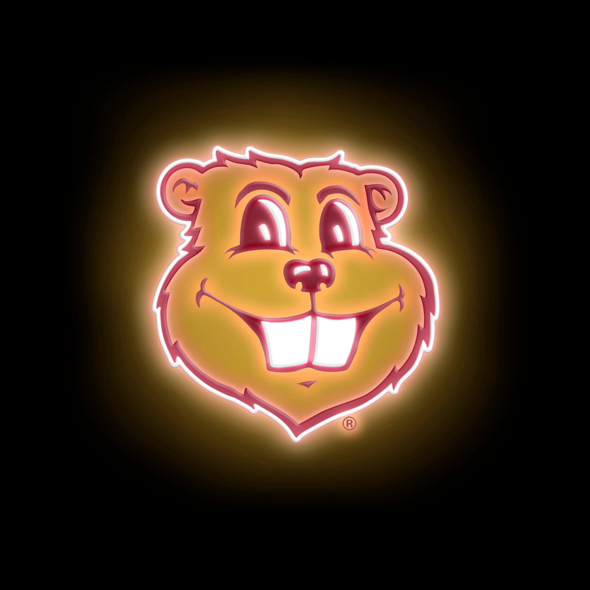 MN Golden Gophers Neon Tee Shirt