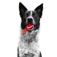 TX Tech Red Raiders Pet Ball Launcher Toy